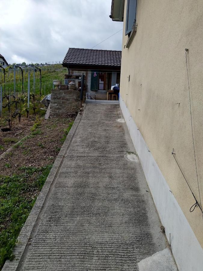 Charmante Maison Au Coeur Du Lavaux, Cully, Cuisine, Wifi, Les Echalas Exterior photo